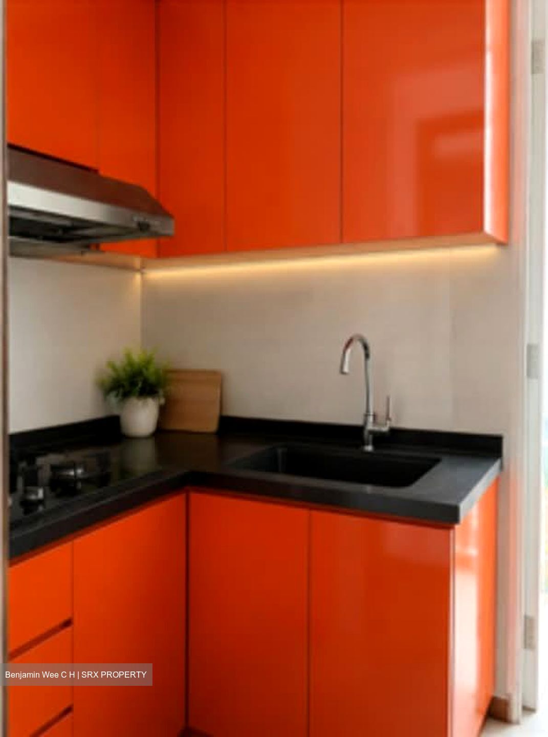 Cadence Light (D15), Apartment #577757531